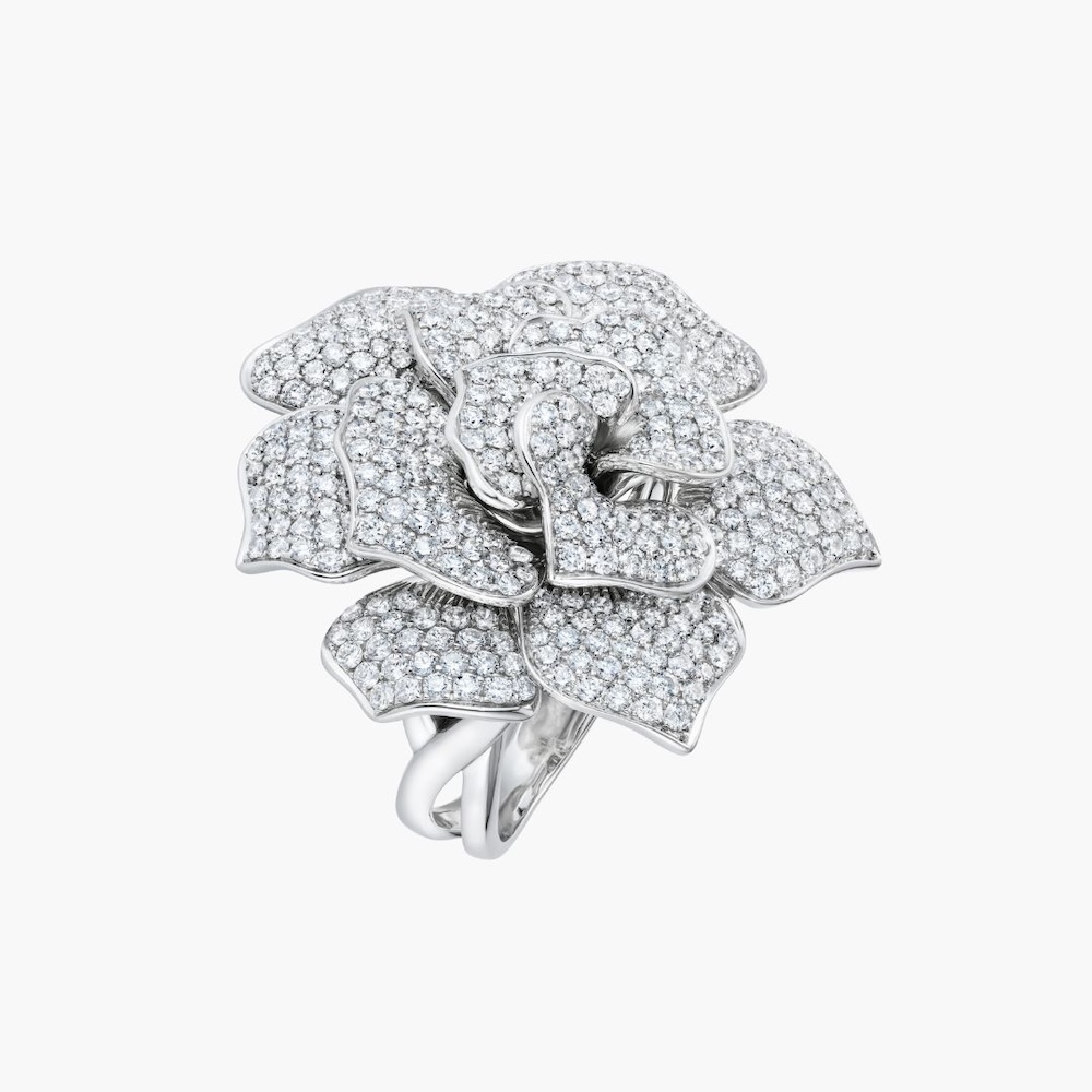 White Rose Ring
