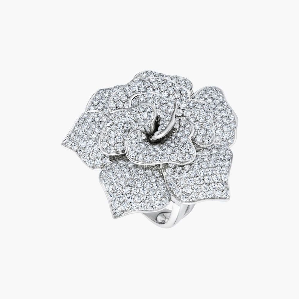 White Rose Ring